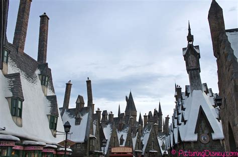 Picturing Disney: Shopping at Hogsmeade Village