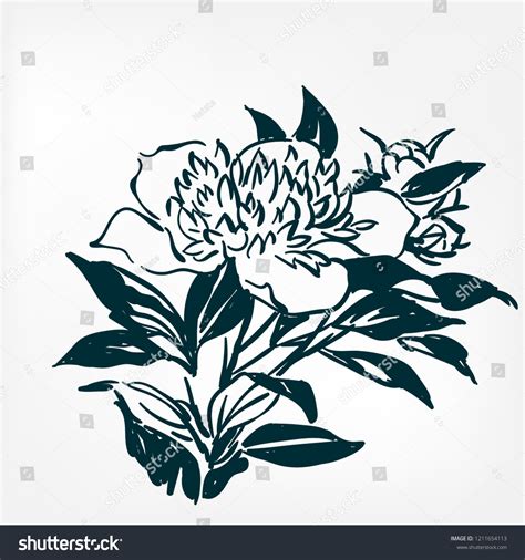 Ink Flower Vector Sketch Illustration Japanese Stock Vector (Royalty ...