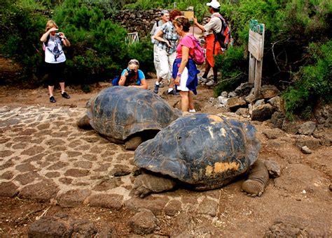 Where Does my Entrance Fee Money Go? - Galapagos Travel Center