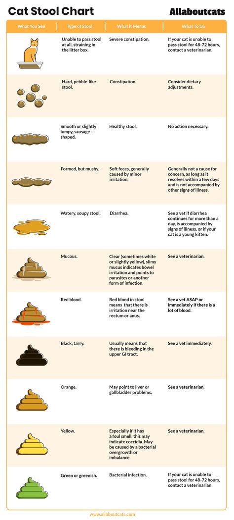 Vet Approved Cat Stool Chart: Decoding Your Cat's Poop - Cats.com