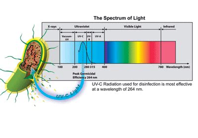 O que é esterilizador de água por UV - Conhecimento - Notícias - Ningbo ...