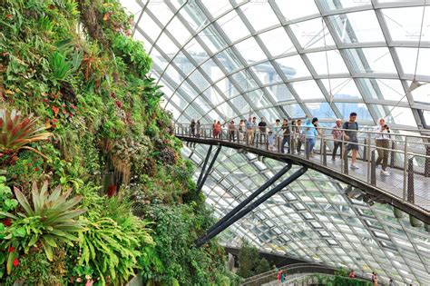 Cloud garden greenhouse in singapore featuring singapore, gardens by ...