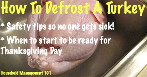 How To Defrost Turkey - Make Sure You Start Soon Enough For ...