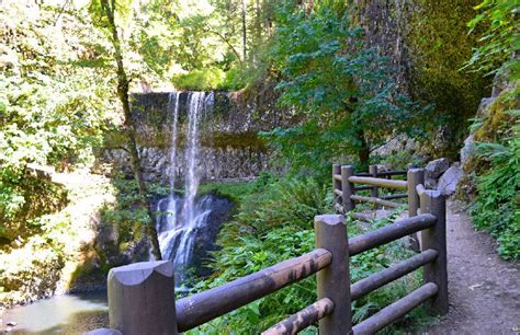 13 Top Hiking Trails in Oregon | PlanetWare