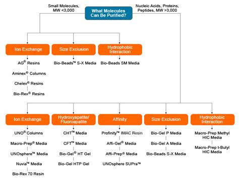 Types of Chromatography | LSR | Bio-Rad