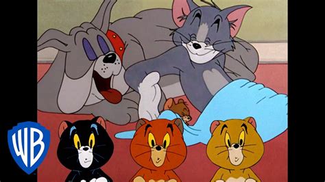 Tom & Jerry | Can They Ever Live in Peace? | Classic Cartoon ...