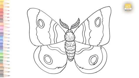 Moth insect outline drawing easy | How to draw A Moth / Butterfly step ...