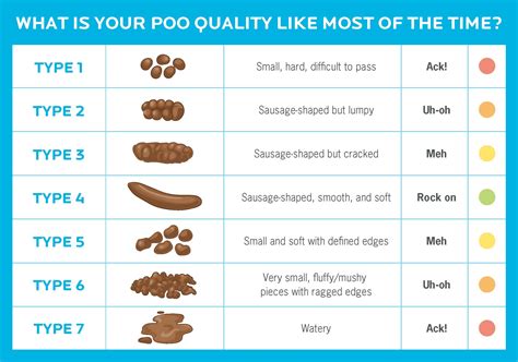 Different Ways To Poop