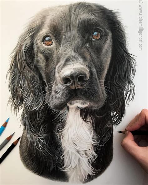 Realistic Drawing Of A Dog - Drawing Word Searches