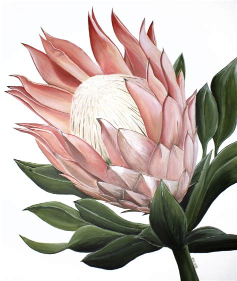 Pink King Protea Original Acrylic Painting | Protea art, Botanical ...