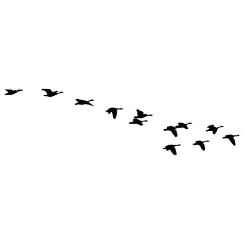 Flock of flying geese vector silhouette | Free SVG | Flying geese, Bird ...