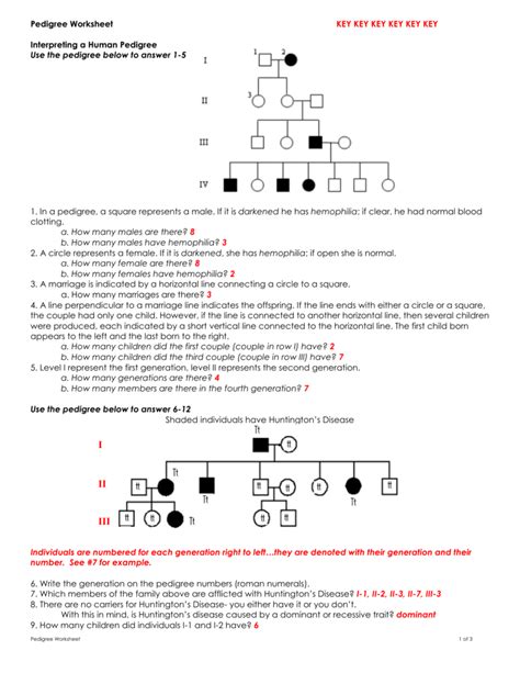 Pedigree Worksheet Answer Key - Zipworksheet.com