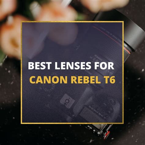 📸 5 MUST-OWN Lenses For Canon Rebel T6 In 2024 [Guide]