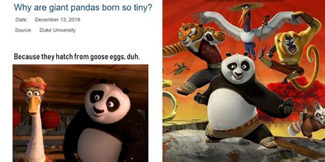 Kung Fu Panda: 10 Memes That Sum Up The Movies