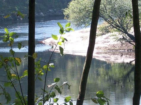 Suwannee River State Park. | State parks, River, Park