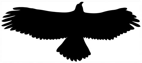 Bird of prey silhouette clipart 20 free Cliparts | Download images on ...