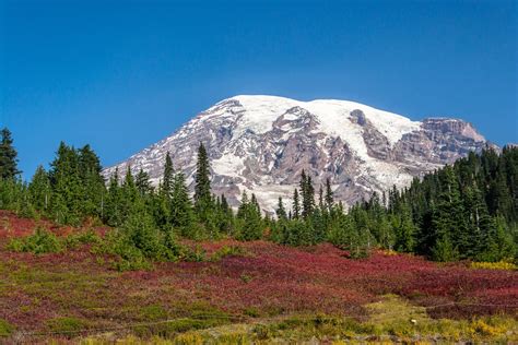 Mount Rainier National Park RV Camping Guide | Camping World Blog