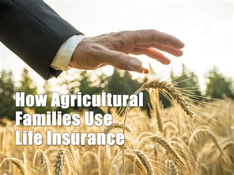 How Agricultural Families Use Life Insurance - Global Investment Strategies