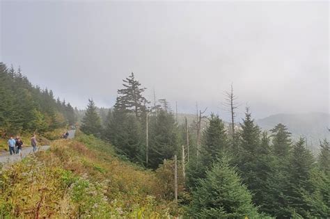 Hiking to Clingmans Dome summit tower: 3rd time's a charm! Hike to ...