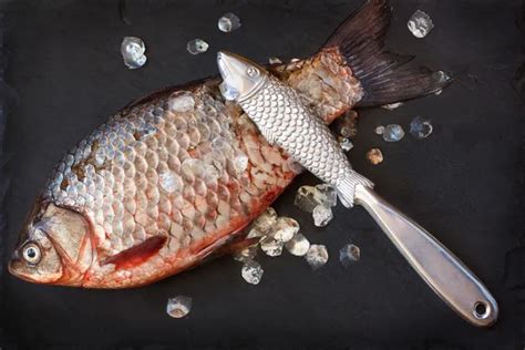 19 Surprising Uses of Fish Scales You Didn't Know About