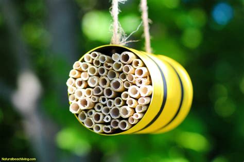 How to Make a Mason Bee Habitat - Perfect Life Cycle of a Bee ...