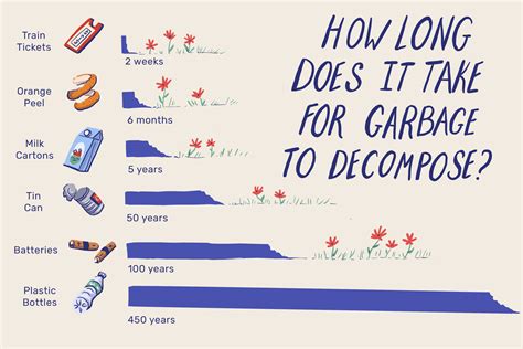 How Long Does It Take Garbage to Decompose?