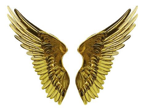 Angel Gold Wings PNG Cutout Image (Isolated-Objects) | Textures for ...