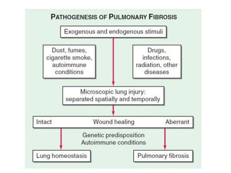 Pulmonary fibrosis