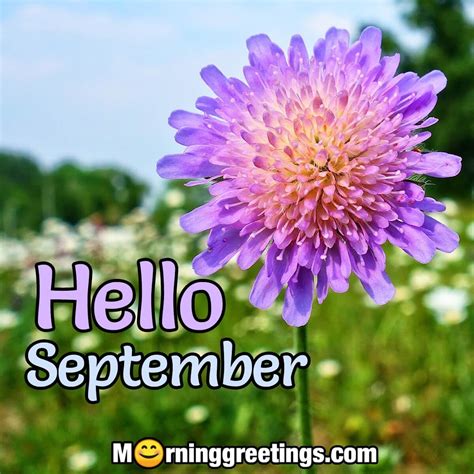 40 Best September Morning Quotes And Wishes - Morning Greetings ...