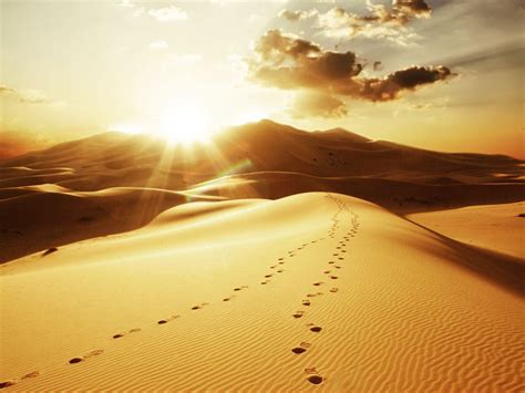 Desert and Sun Wallpapers - Top Free Desert and Sun Backgrounds ...