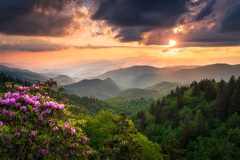 Great Smoky Mountains National Park Summer Landscape Photography ...