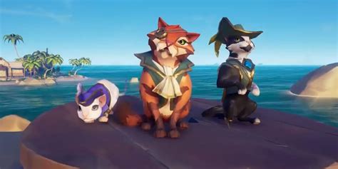 Sea of Thieves Update Introducing Cats | Game Rant