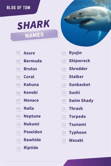 239+ Shark Names (BEST Male & Female Ideas)