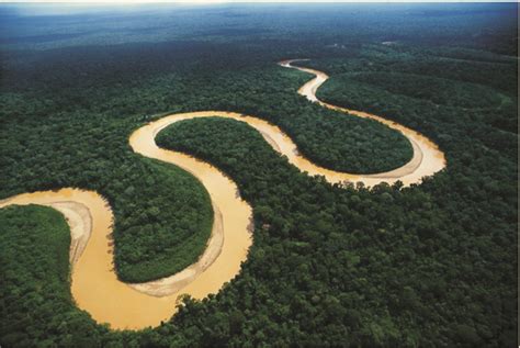 Lo que debes saber sobre el río amazonas - Fundación Aquae