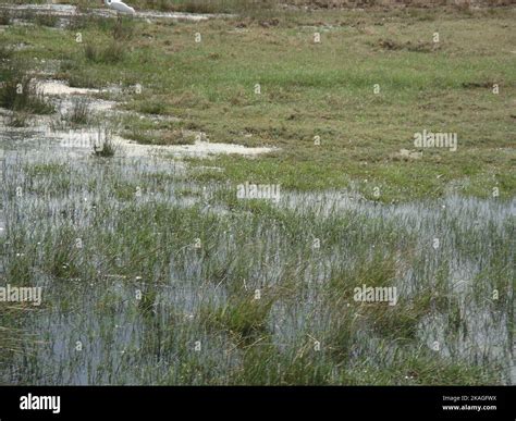 Beautiful landscape photography in Sri Lanka. Visit Sri Lanka Stock ...