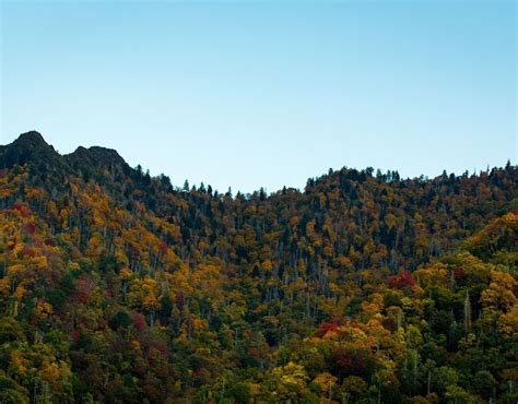 What's the Weather Like in Asheville, NC?