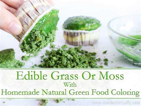 Edible Moss Or Grass With Natural Green Food Coloring - Sew Historically