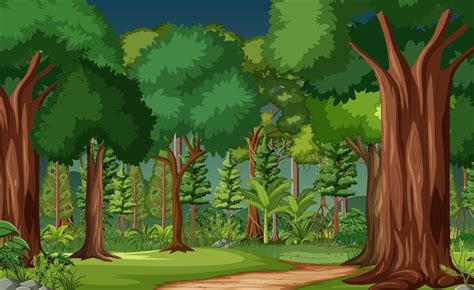 Forest scene with many trees 2149485 Vector Art at Vecteezy