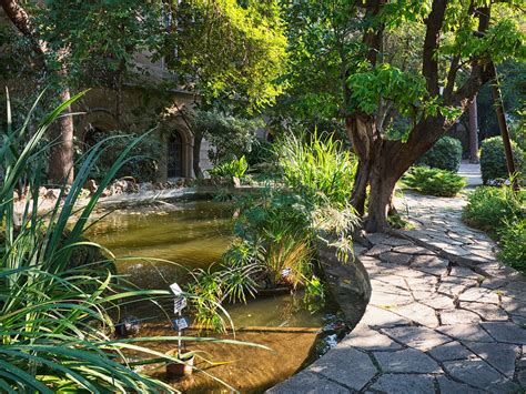 Los jardines de la Universidad Central | Web de Barcelona