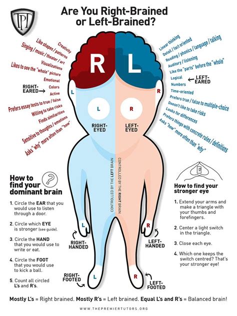 Vilken Hjärnhalva Är Dominant? - Testa Själv! | Infographic, Hälsa och ...