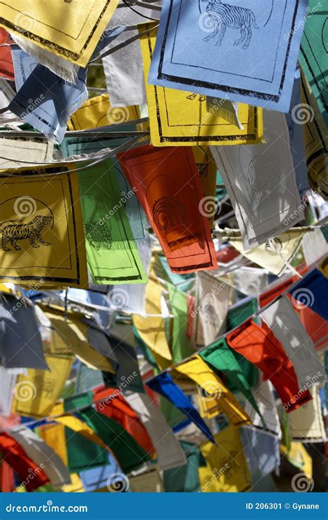 Flags showing animals stock image. Image of colour, square - 206301