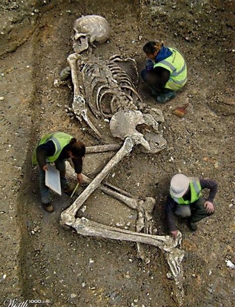 Does a photo show skeleton of giant being unearthed? Fact Check ...