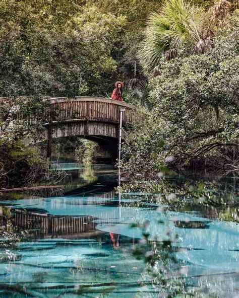 Juniper Springs | An Instagrammable Florida Spring