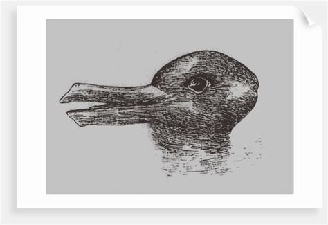 Duck-Rabbit illusion. From: Jastrow, J. The minds eye. Popular Science ...