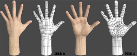 Male Hand 3d Model 3D Model $19 - .max .fbx .ma .obj .xsi .unknown .c4d ...