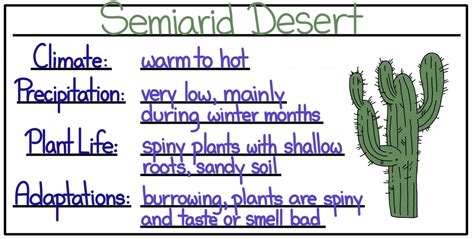 Desert Biome Characteristics