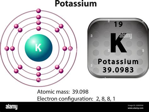 Symbol and electron diagram for Potassium Stock Vector Image & Art - Alamy