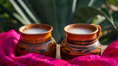 What Is Pulque And What Does It Taste Like?