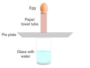 Newton's First Law of Motion Experiment | Study.com