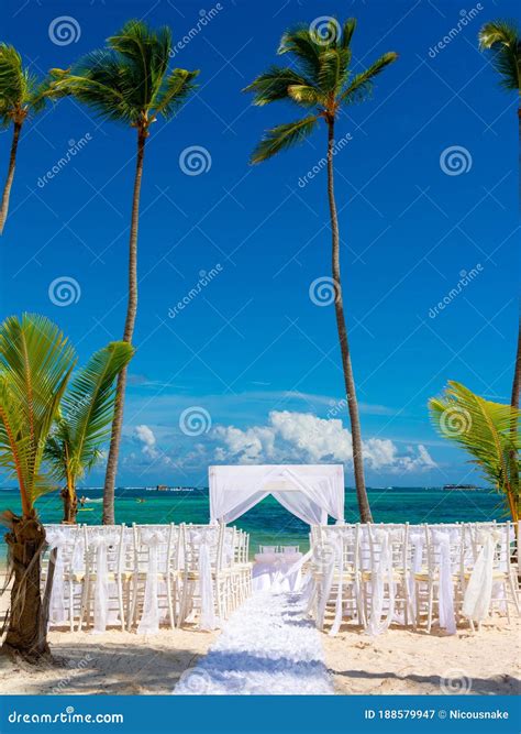 Tropical Wedding on Caribbean Beach Stock Image - Image of caribbean ...